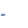 Structeryx Inc.